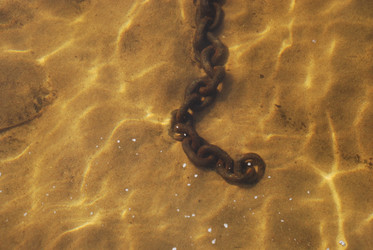 Similar image 21239807