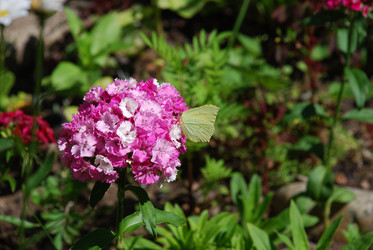 Similar image 21239812