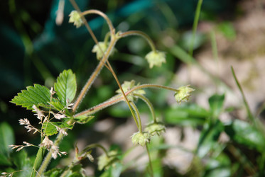 Similar image 21239813