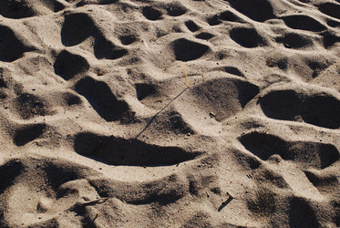 Similar image 21239815