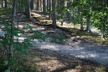 Similar image 21239818