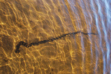 Similar image 21239820