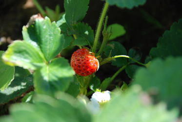 Similar image 21239831