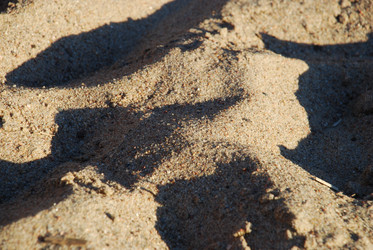 Similar image 21239834