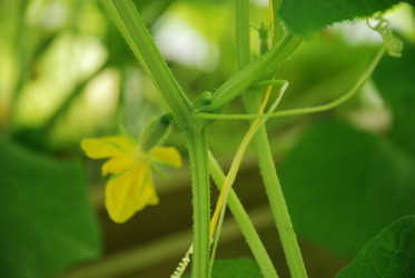 Similar image 21239836