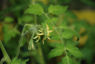 Similar image 21239839