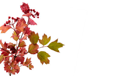 Similar image 21237356