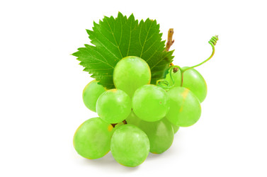 Similar image 21239605