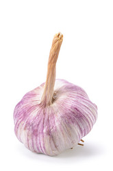 Similar image 21237362