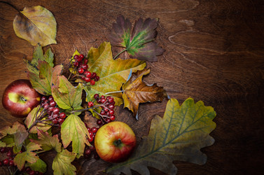 Similar image 21237363