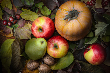 Similar image 21237364