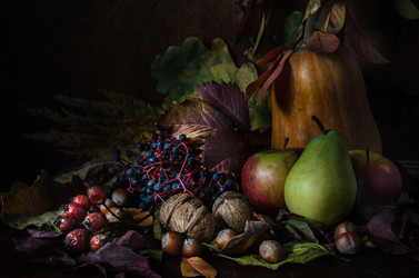 Similar image 21237369