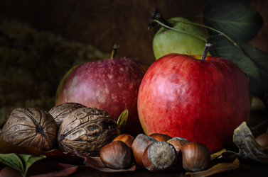 Similar image 21237370