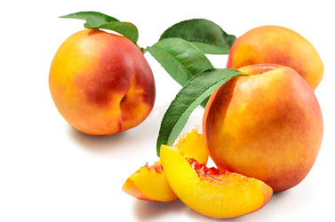 Similar image 21244470