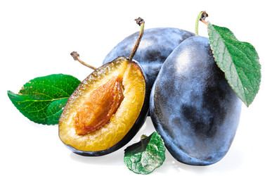 Similar image 21237371