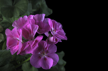 Similar image 21236121