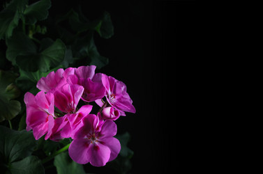 Similar image 21236122