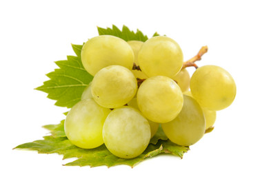 Similar image 21236124