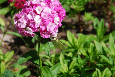 Similar image 21239849