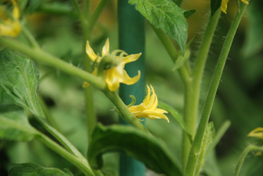 Similar image 21239853