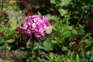 Similar image 21239854