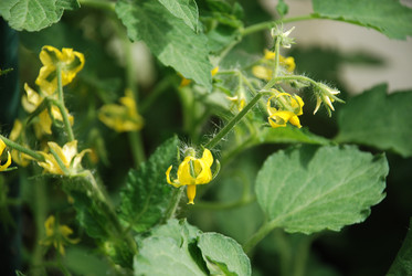 Similar image 21239859