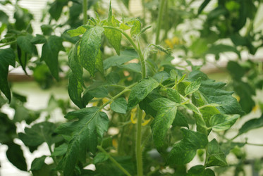 Similar image 21239860