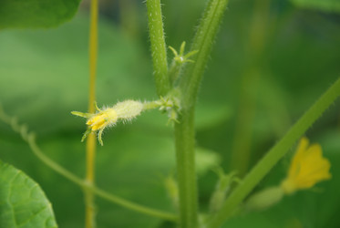 Similar image 21239861