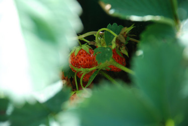 Similar image 21239864