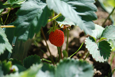 Similar image 21239868