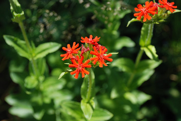 Similar image 21239869