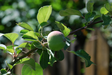 Similar image 21239872