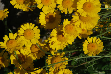 Similar image 21239874