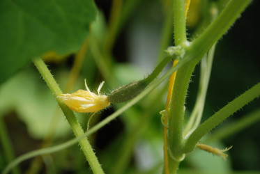 Similar image 21239878