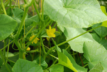 Similar image 21239880