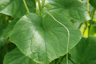 Similar image 21239881