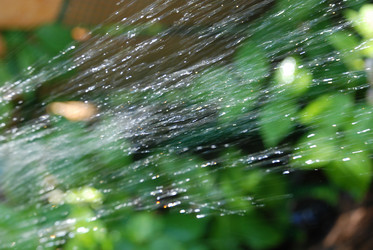 Similar image 21239883