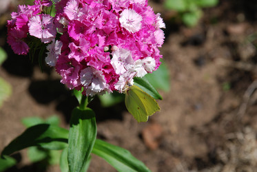 Similar image 21239884