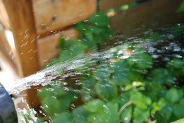 Similar image 21239885