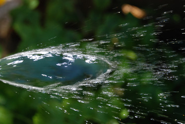 Similar image 21239886