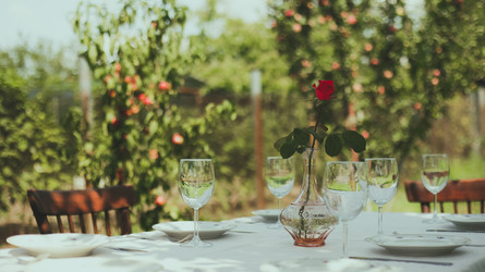 Similar image 21230705