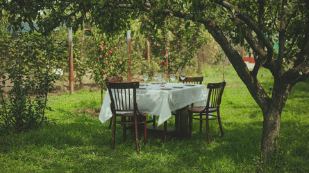 Similar image 21230706