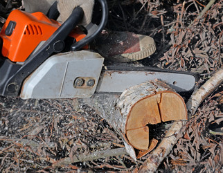 Similar image 21233617