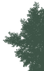 Similar image 21239127