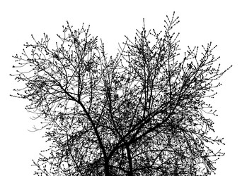 Similar image 21239128