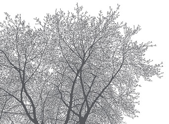 Similar image 21239129