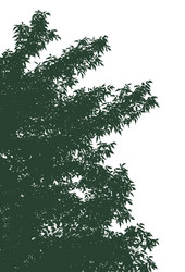 Similar image 21239130