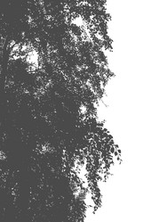 Similar image 21239131