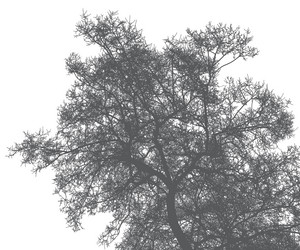 Similar image 21239132