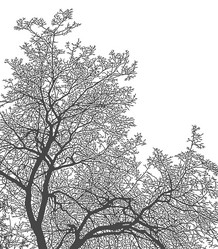 Similar image 21239135